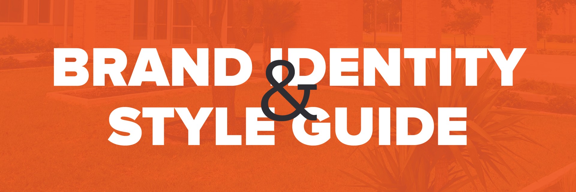 Brand Identity And 风格指南